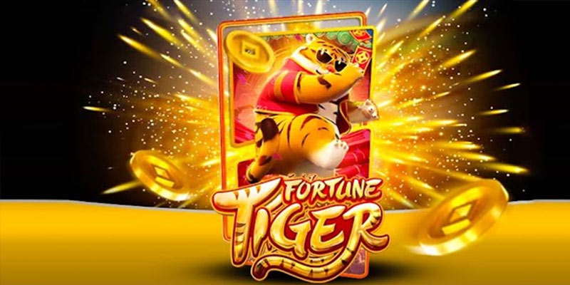 Quem é o Fortune Tiger 11a.Com